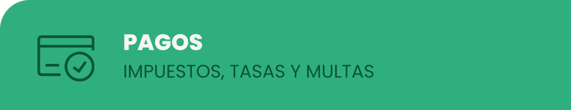 Imagen en español